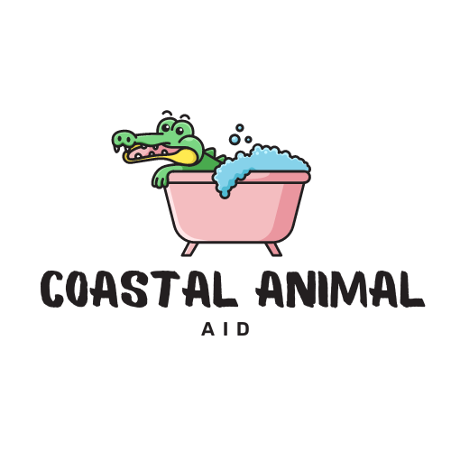 The Dangers of Tropical Pets in Florida: An Animal Rescue Perspective
